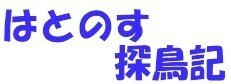 はとのす探鳥記